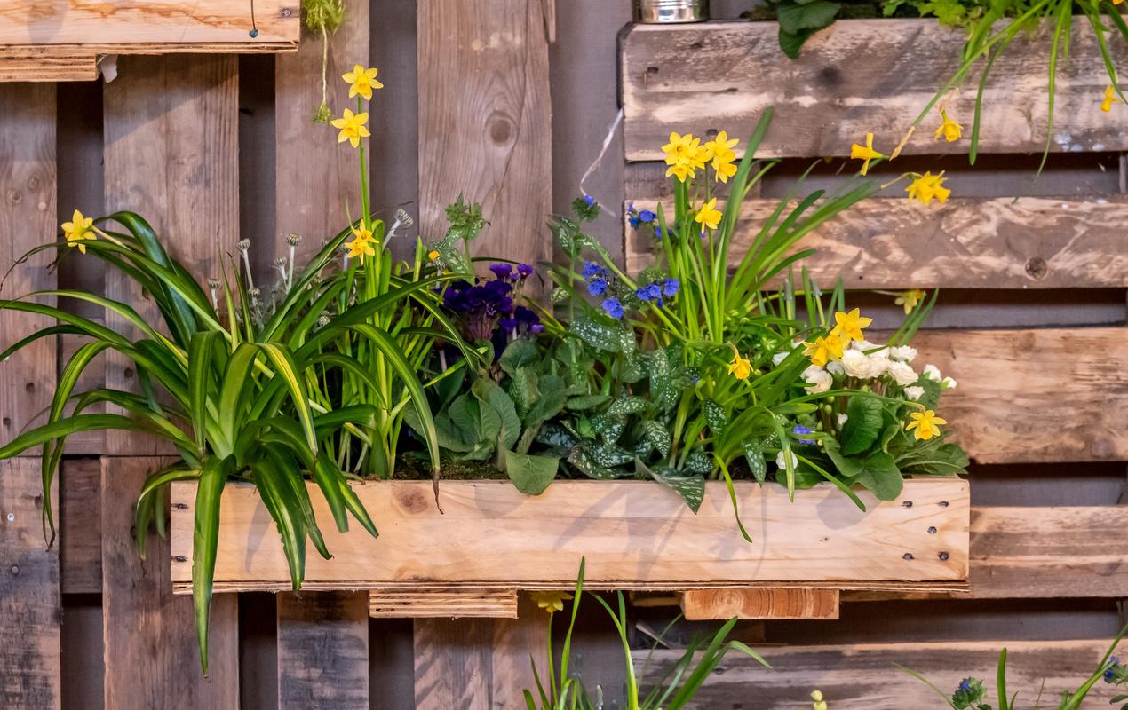 5 idées créatives pour égayer votre espace extérieur avec des pots de fleurs